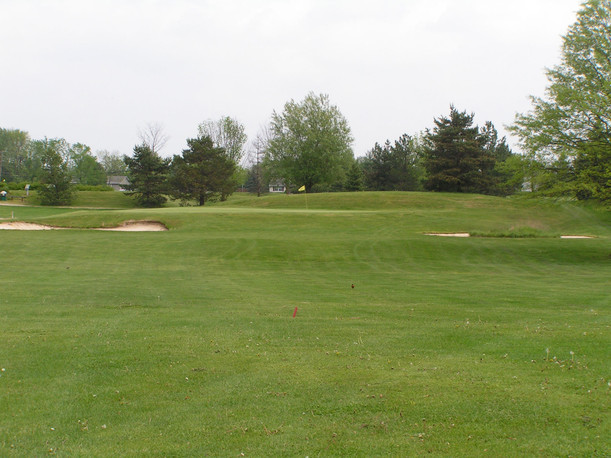 Golf Course View 8