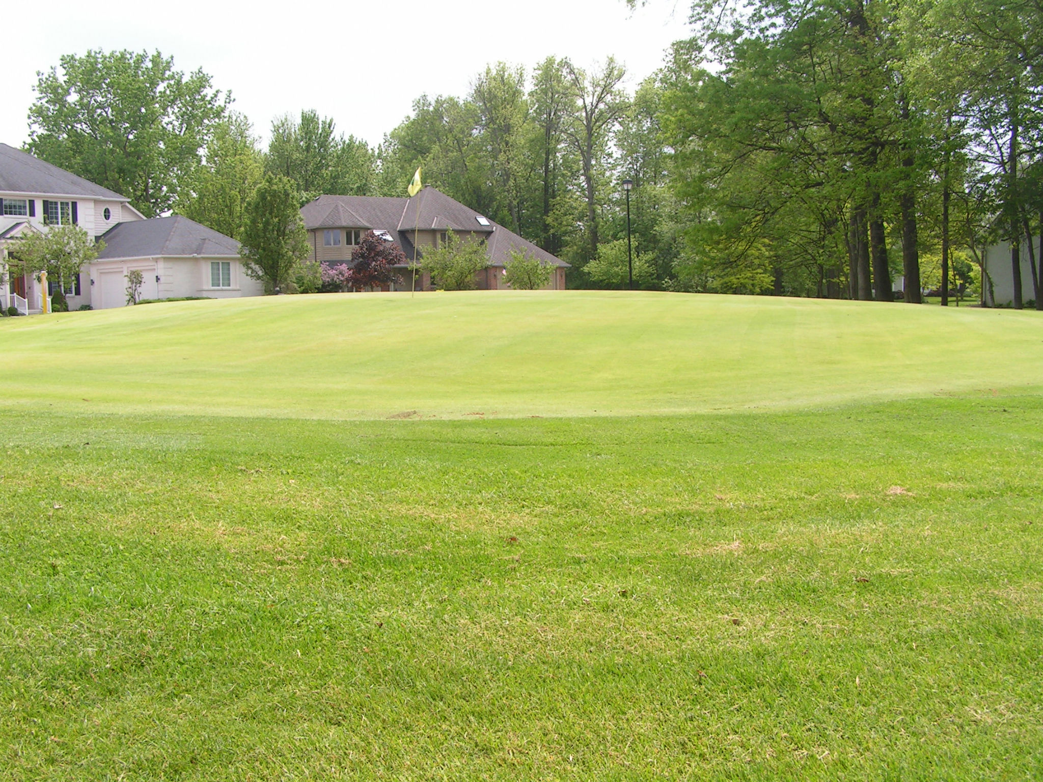 Golf Course View 11